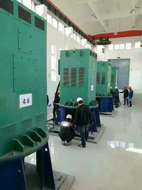 吉阳某污水处理厂使用我厂的立式高压电机安装现场