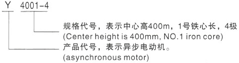 西安泰富西玛Y系列(H355-1000)高压吉阳三相异步电机型号说明